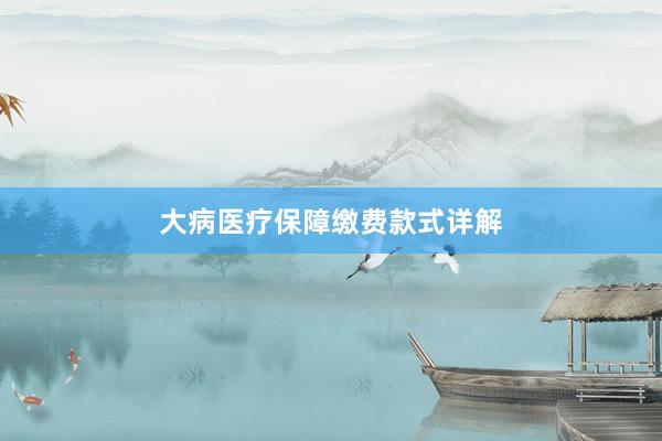 大病医疗保障缴费款式详解