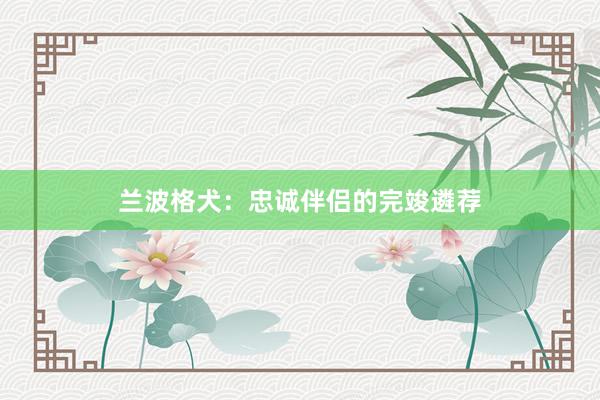 兰波格犬：忠诚伴侣的完竣遴荐